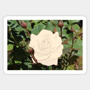 Two Mediums One Rose Sticker